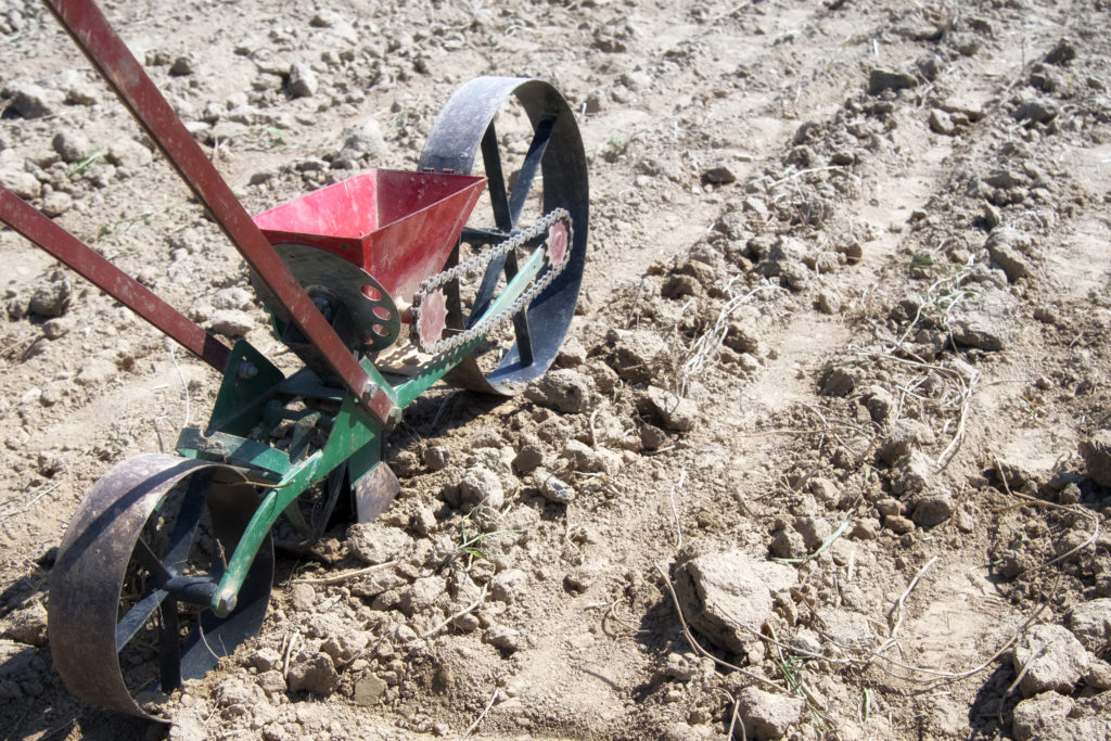 semanat in agricultura